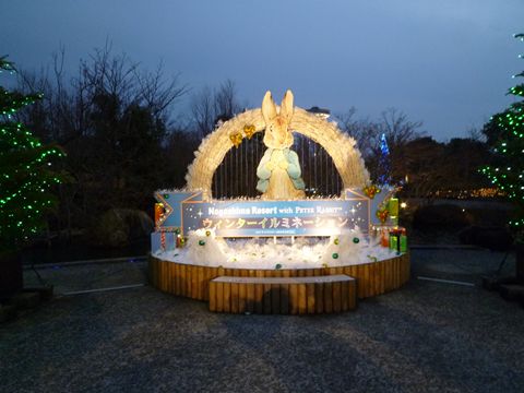 irunabana000.JPG