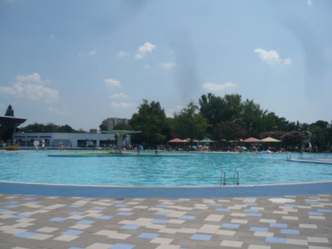 pool003.JPG