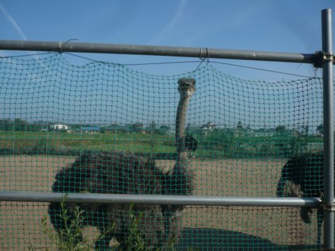 toyosaka001.JPG