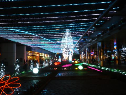 irumi000.JPG