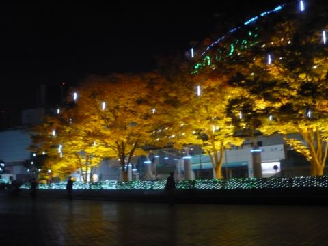 irumi004.JPG