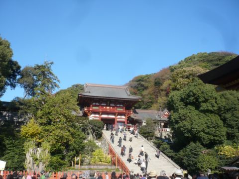 kouyo000.JPG
