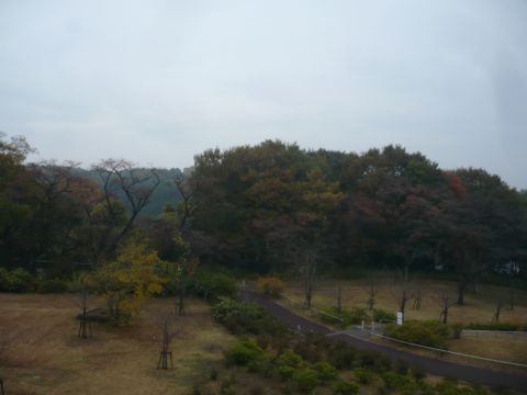 youyou002.JPG