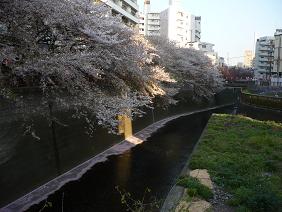 kawa01.jpg
