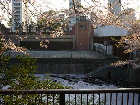 kawa04.jpg