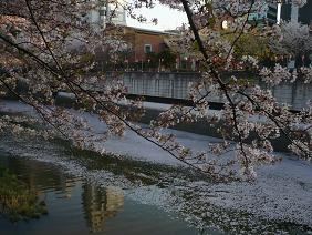 kawa05.jpg
