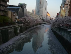 kawa13.jpg