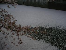 kawa14.jpg