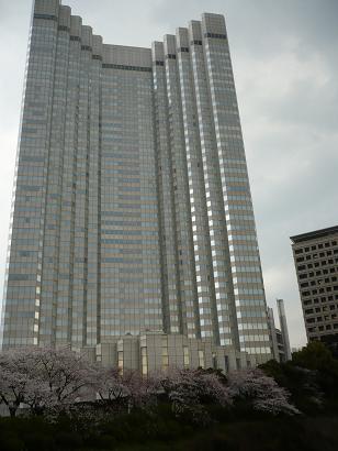 sakura08.jpg